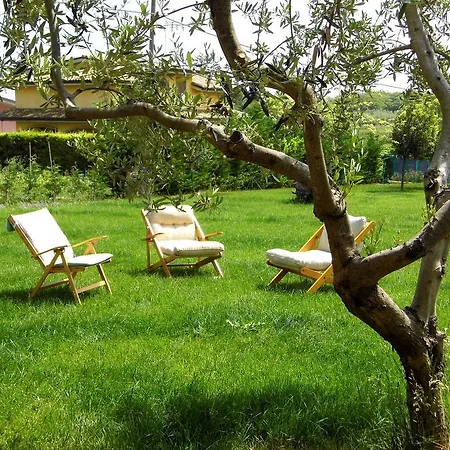 Gagliarda Ortona